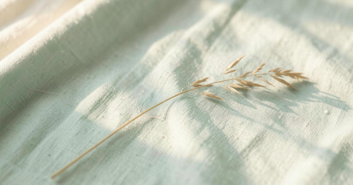 Soft morning light falling on pale green linen with a single dried grass stem, suggesting calm and quiet